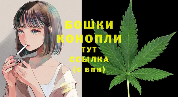гидропоника Аркадак