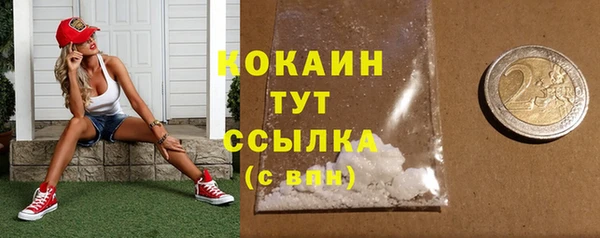 дживик Арсеньев