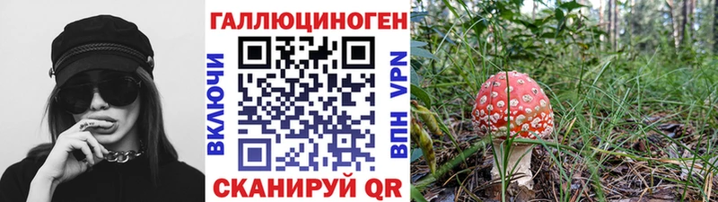 как найти наркотики  Сычёвка  blacksprut онион  Псилоцибиновые грибы Magic Shrooms 